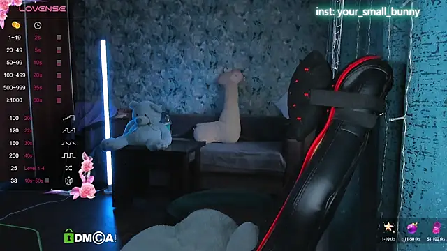 Your small bunny online show from September 2025 02:03:02 AM