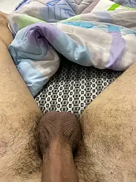 dzpoweralg online show from February 2025 01:37:01 PM