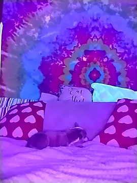 Snapshot of ivylee31 chatting on March 2026 12:38:02 AM ivylee31 online show from March 2026 12:38:02 AM