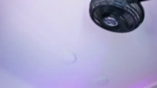 Snapshot of AmberiniHoffman chatting on October 2025 12:11:01 PM AmberiniHoffman online show from October 2025 12:11:01 PM