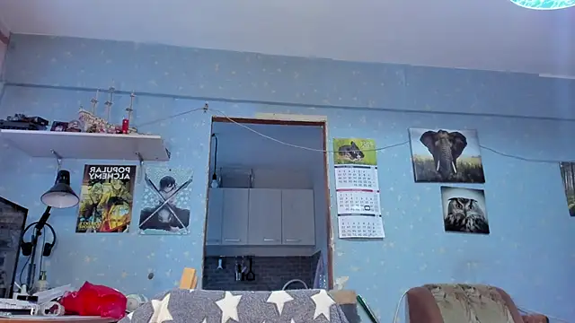 Snapshot of teddy_alan chatting on January 2025 11:28:02 AM teddy alan online show from January 2025 11:28:02 AM