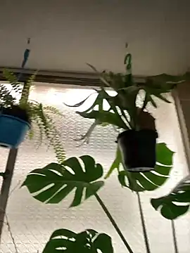 Snapshot of Miss_oliviaa chatting on March 2026 06:02:01 PM Miss oliviaa online show from March 2026 06:02:01 PM