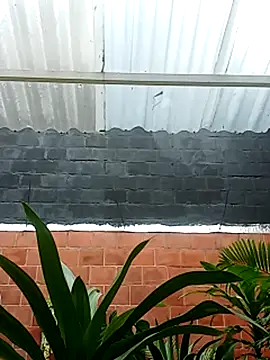 Snapshot of luchoarr chatting on November 2025 12:59:01 PM luchoarr online show from November 2025 12:59:01 PM