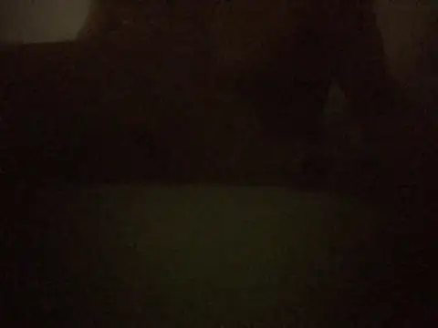 Snapshot of FrettedLodine chatting on February 2026 02:32:01 AM FrettedLodine online show from February 2026 02:32:01 AM