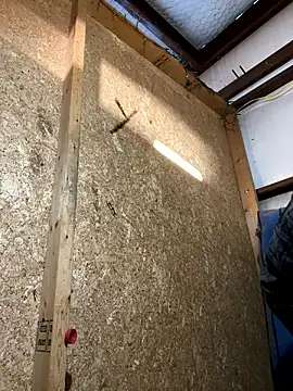 yomanfriend online show from December 2024 02:19:02 PM