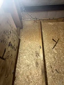 yomanfriend online show from December 2024 09:01:01 AM