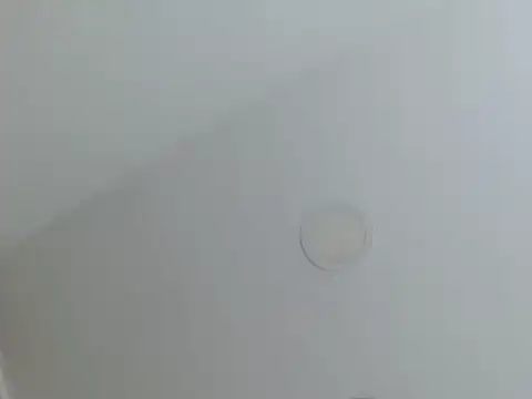 milfevha online show from February 2026 02:38:02 PM