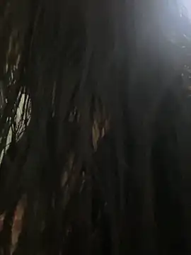 eva sexx69 online show from March 2026 12:12:02 PM