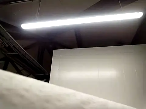 Piroca meladinha online show from January 2026 06:48:01 AM