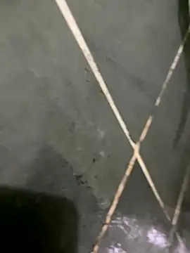 gzn01 online show from October 2025 07:03:02 PM