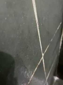 gzn01 online show from December 2025 08:06:01 PM