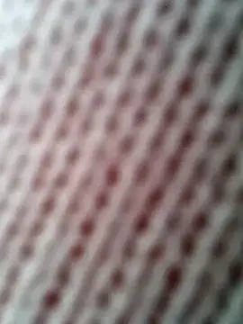 Gardener of Illusions online show from October 2025 10:27:01 AM