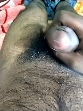 Snapshot of jellydicks chatting on November 2025 11:52:02 AM jellydicks online show from November 2025 11:52:02 AM