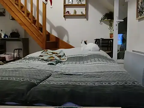 Lauzo21 online show from December 2025 06:33:02 AM