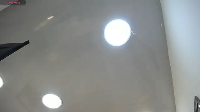 MrWilliseo online show from March 2026 06:22:02 PM