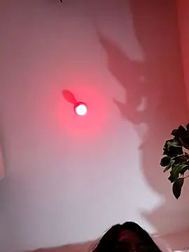 ferwambier online show from February 2026 05:52:01 PM