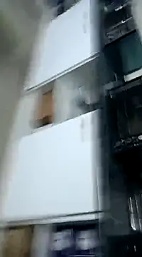 pedritolobito online show from December 2024 01:41:02 AM