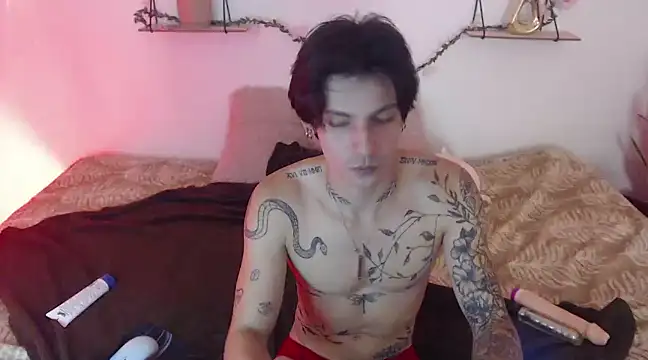 Apolo Hidalgo01 online show from January 2025 04:13:01 PM