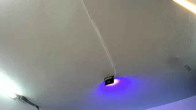 Amy Kiitty  online show from November 2025 12:37:01 PM