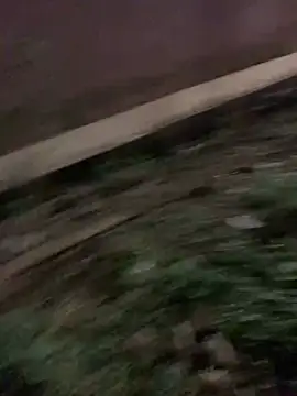 Black mamba madingo online show from January 2025 06:33:02 PM