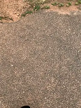 Black mamba madingo online show from February 2025 12:11:02 PM