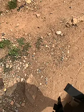 Black mamba madingo online show from February 2025 09:54:01 AM