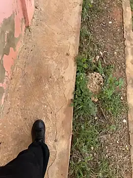 Black mamba madingo online show from February 2026 09:43:02 AM