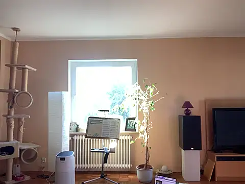 Bula94193 online show from March 2025 08:33:02 AM