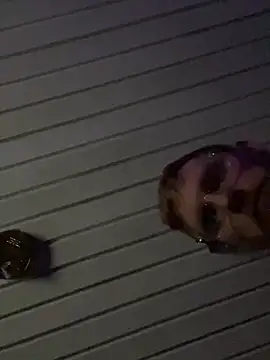 Snapshot of luv2cum7491 chatting on December 2024 07:33:02 AM luv2cum7491 online show from December 2024 07:33:02 AM