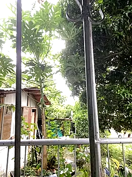 Jestebanano online show from October 2025 08:20:02 PM