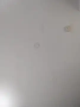 geilerschwanz64 online show from September 2025 07:05:01 PM