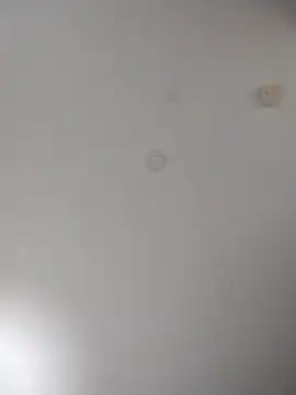 geilerschwanz64 online show from October 2025 06:01:02 AM