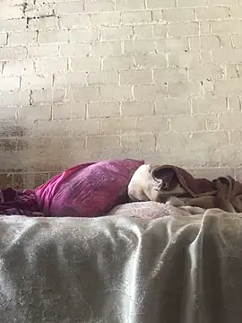 Sweet   Dick online show from January 2025 07:18:01 AM