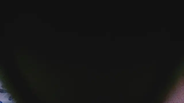 SashaBrianna99 online show from March 2025 05:12:02 PM