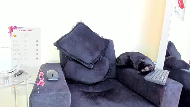 its  angelica  online show from November 2025 07:47:01 PM