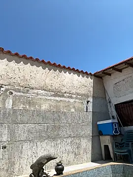 Leo bunny hot online show from September 2025 05:29:02 PM