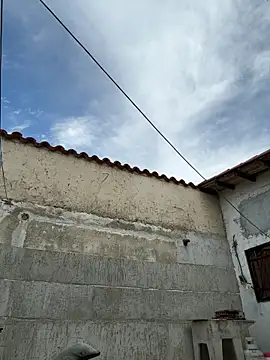 Leo bunny hot online show from October 2025 07:23:02 PM