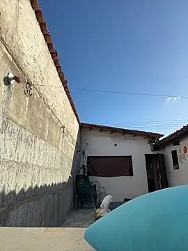 Leo bunny hot online show from December 2025 08:25:01 PM