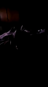 Imthegoattt online show from December 2024 11:47:01 PM