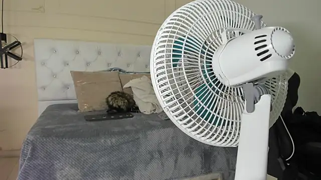 Slut Milf  online show from January 2025 10:44:01 PM