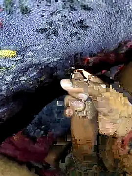 Kolkataboiy online show from September 2025 02:59:01 AM