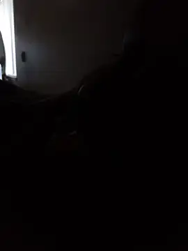 DevinToore online show from February 2026 11:20:01 PM