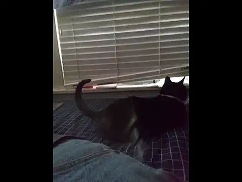 Snapshot of DevinToore chatting on March 2026 04:12:01 PM DevinToore online show from March 2026 04:12:01 PM