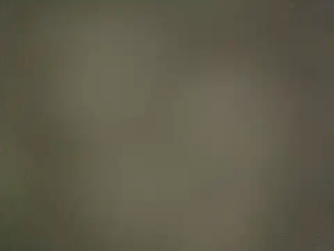 53kkkkkk online show from November 2025 01:56:02 PM