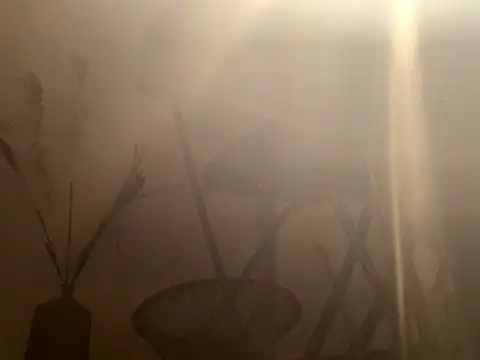 mesetti online show from December 2024 03:13:02 PM