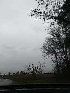 nataliecdlive online show from November 2025 11:09:02 AM