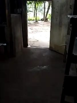 SL ROMESH 04 online show from February 2026 11:53:02 AM