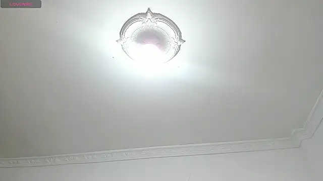 Snapshot of SofiaBosch chatting on December 2024 05:47:01 AM SofiaBosch online show from December 2024 05:47:01 AM