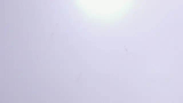 Violet Grace online show from February 2025 06:26:02 PM