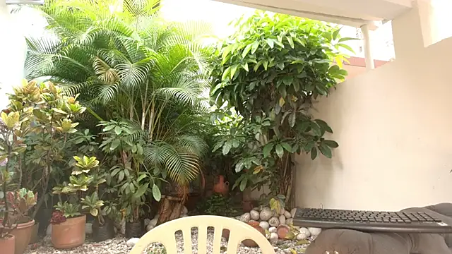 Snapshot of DannaDooll99 chatting on October 2025 12:48:02 PM DannaDooll99 online show from October 2025 12:48:02 PM